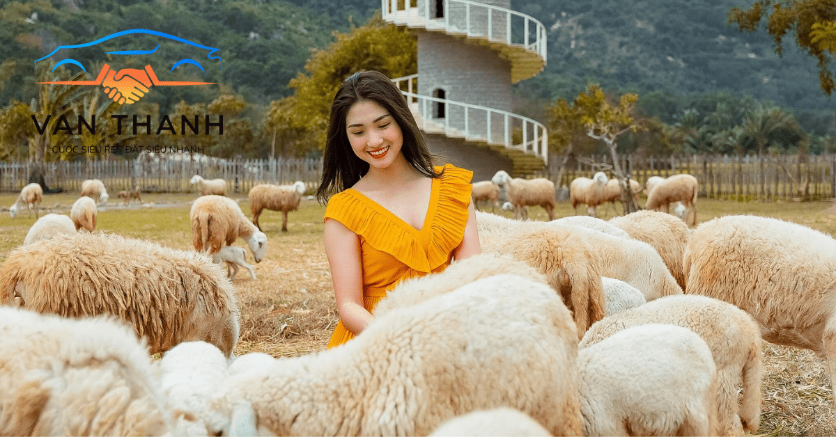 Tour Hang Rái Nha Trang Đồng Cừu Suối Tiên